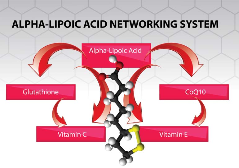 D M Pharma LCarnitine, Alpha Lipoic Acid, Green Tea, Lutein